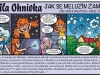 Jak se Meluzín zamiloval