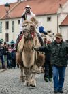 Foto k akci Zavírání Vánoc na Chvalském zámku