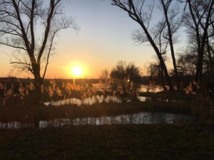 cena poroty1_Renata Zamazalova_web